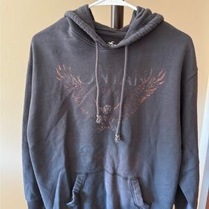 Hollister Charcoal Hoodie with Eagle Graphic